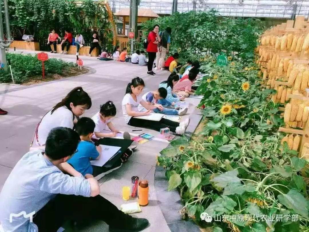 开展幼儿乡村研学旅行的重要意义